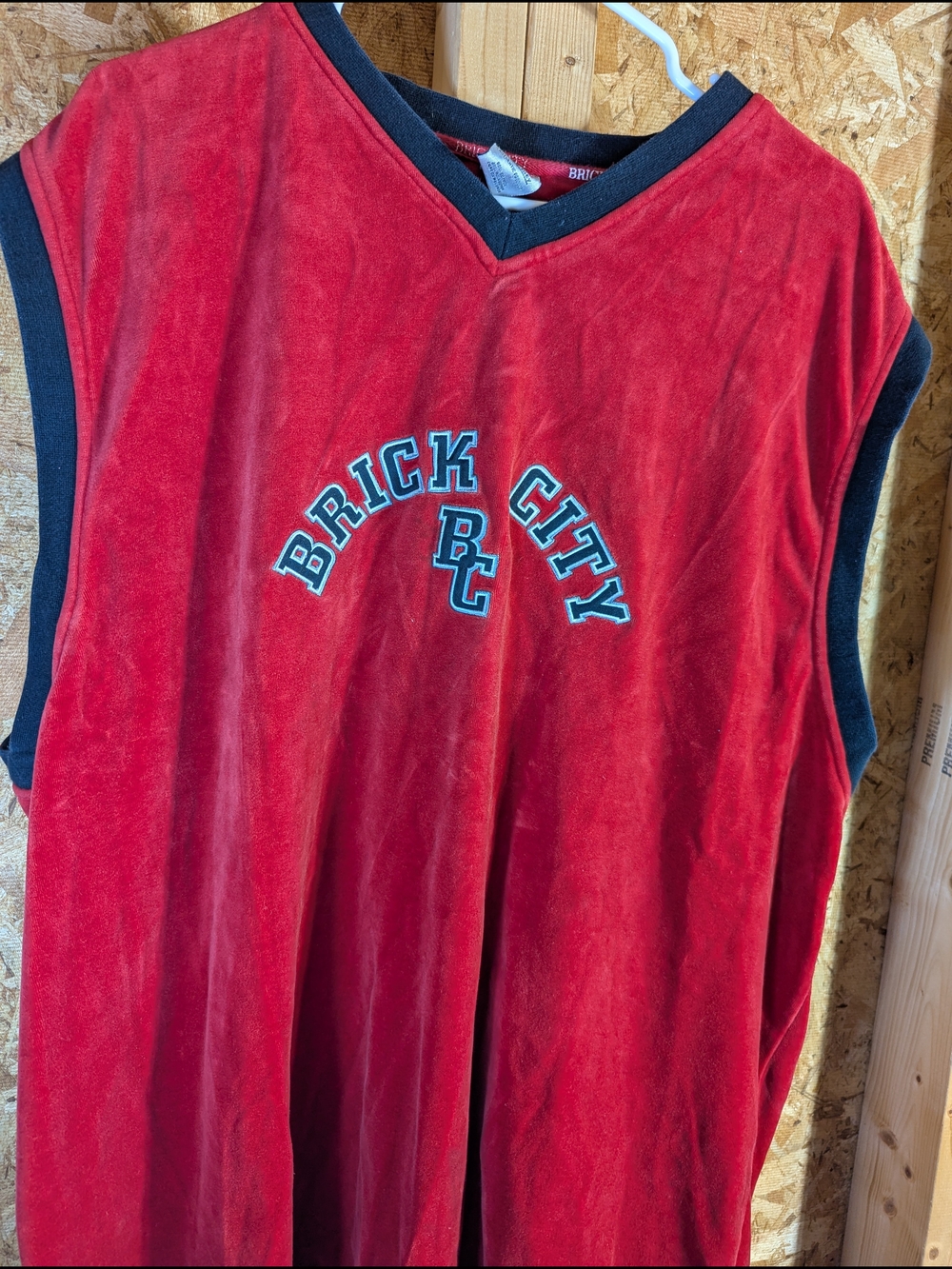 Brick City Red Velour Sleeveless Top